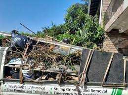 Junk Removal for Events in Wimberley, TX